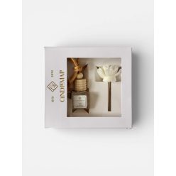 Autóillatosító – Axis