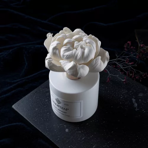 Axis kvetinový difuzér 100 ml