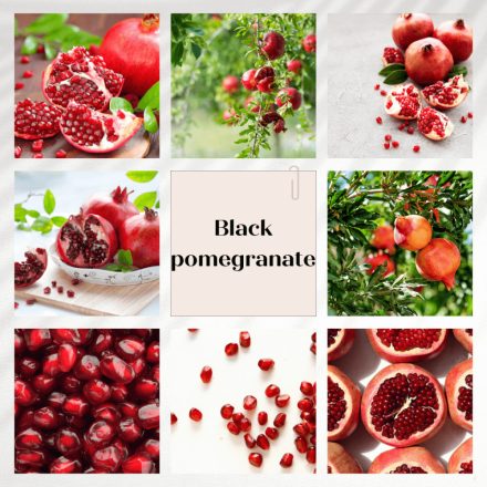 Black  Pomegranate szójagyertya 200 ml