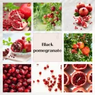 Black Pomegranate Kvetinový difuzér