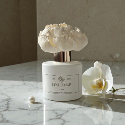 Axis Blumendiffusor 100 ml