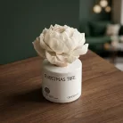 Christmas Tree  Kvetinový difuzér  100 ml