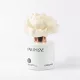 Fall in Love kvetinový difuzér  100 ml