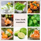 Lime, basil, mandarin virágdiffúzor 100 ml