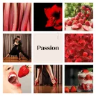 Passion kvetinový difuzér 100 ml