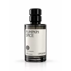 Pumpkin Spice - room and linen spray 100 ml