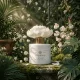 Secret Garden virágdiffúzor 100 ml