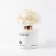 Spice Kiss kvetinový difuzér 100 ml