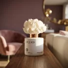Spice Kiss kvetinový difuzér 100 ml