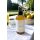 Summer Time lakásillatosító spray 100 ml