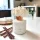 Vanilla - Vanília kvetinový difuzér 100 ml