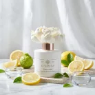 Secret Garden kvetinový difuzér  100 ml