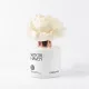 Winter Haven kvetinový difuzér  100 ml