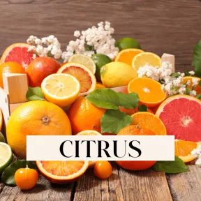 Frissítő citrusok