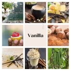 Vanilla