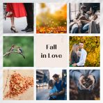 Fall in Love